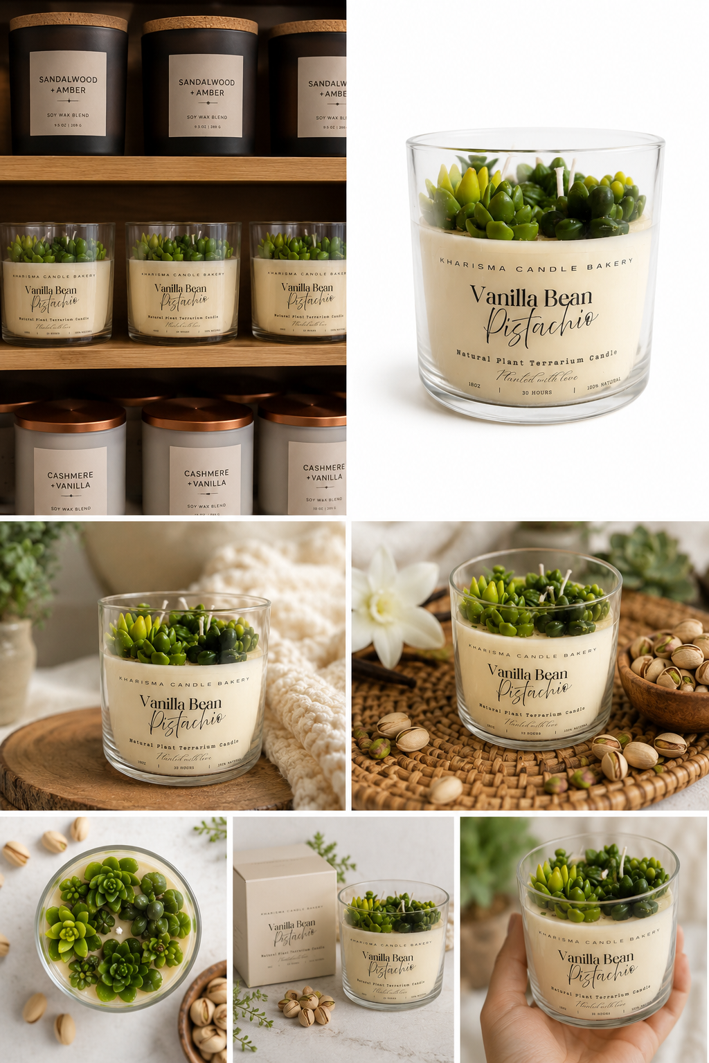 Vanilla Bean Pistachio Natural Plant Terrarium Candle