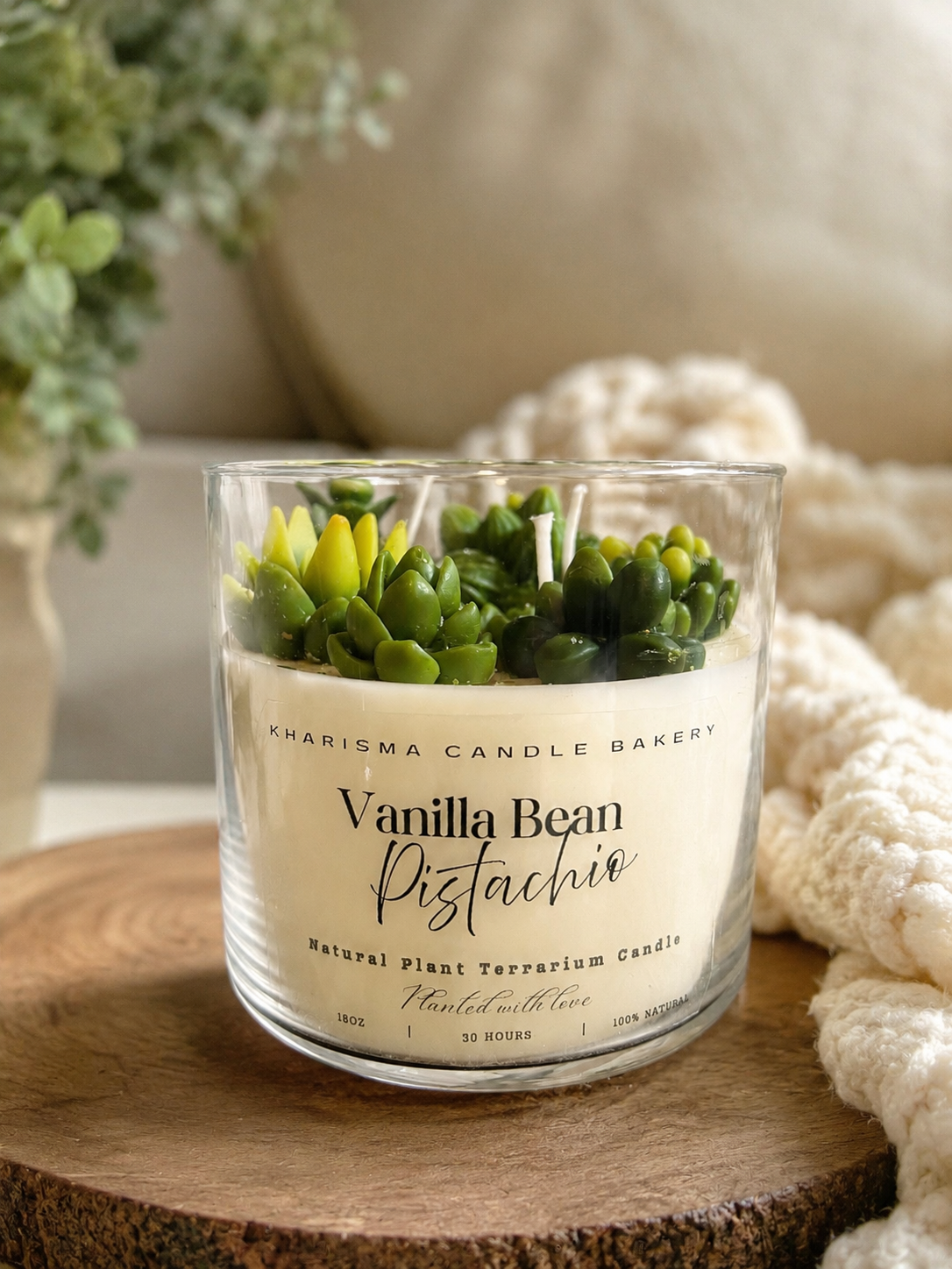 Vanilla Bean Pistachio Natural Plant Terrarium Candle