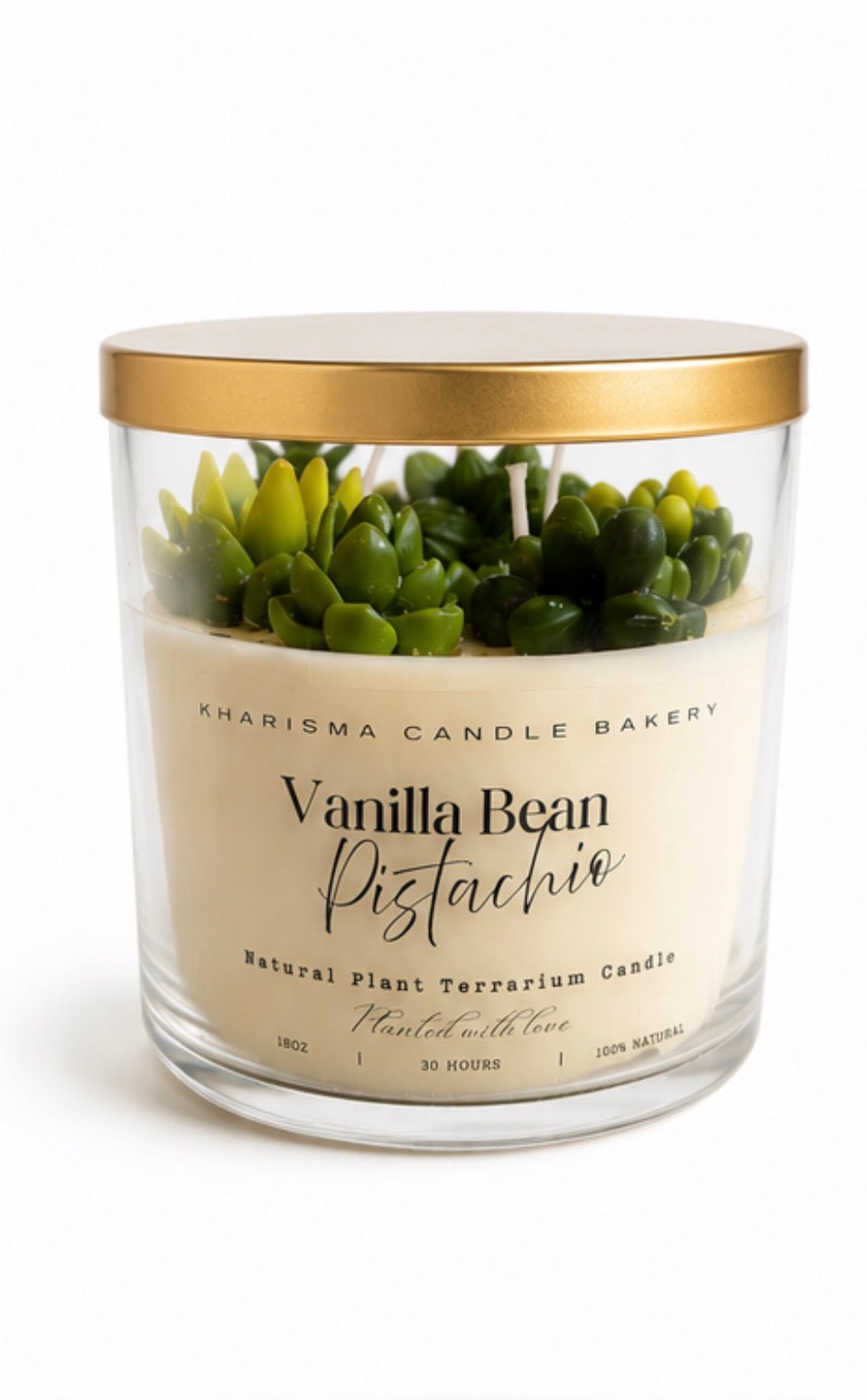 Vanilla Bean Pistachio Natural Plant Terrarium Candle